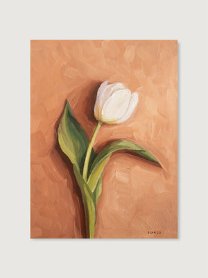 Single Tulip - Art Print