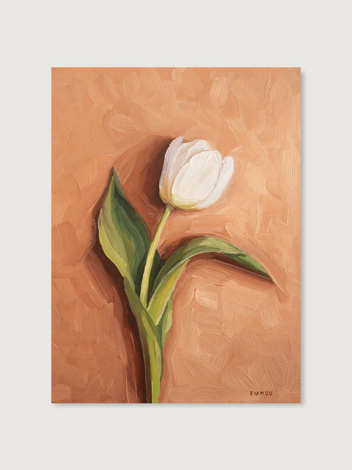 Single Tulip - Art Print