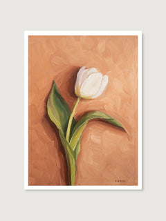 Single Tulip - Art Print